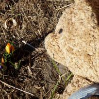 Frühling!